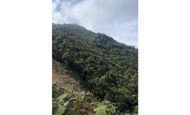 VENTA FINCA CASTILLA PCORA 32 HECTREAS | FINCA PRODUCTIVA EN VENTA