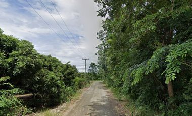 Land for sale in Tha Duea, Chiang Mai