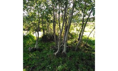 TERRENO EN HUASCA ZONA TRANQUILA Y BONITO PAISAJE