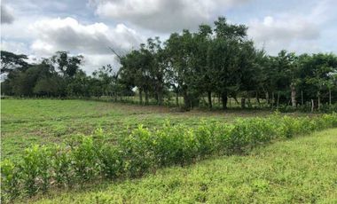 Venta de lote en el faro 4, Montería