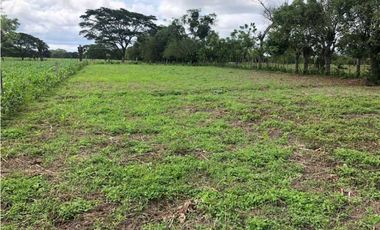 Venta de lote en el faro 4, Montería