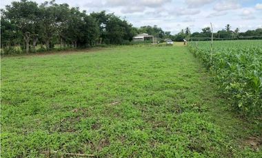Venta de lote en el faro 4, Montería