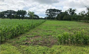 Venta de lote en el faro 4, Montería