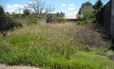 CASA EN DOS PLANTAS CON 4 DORMITORIOS, UNO EN SUITE, CON HIDROMASAJE Y VESTIDOR COCHERA PARA TRES AUTOS, 2 BANOS, LIVING/COMEDOR, PARQUE Y LOCAL
