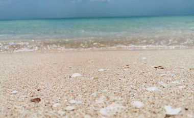 Terreno frente al mar 100 m lineales playa  en Celestun, Yucatan, en venta