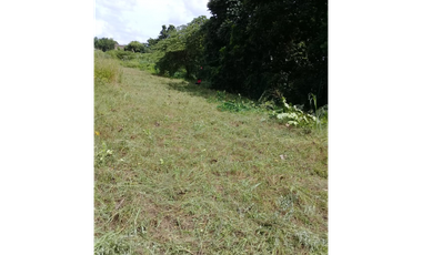 Oportunidad en Vía Tocumen, Venta de Terreno Comercial con 7500M2