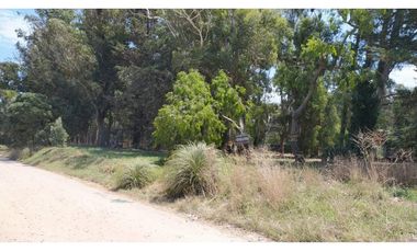 2 lotes juntos en venta Bosque Peralta Ramos