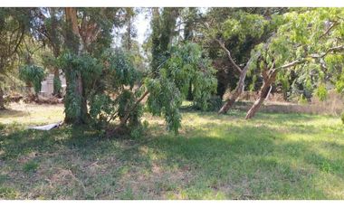 2 lotes juntos en venta Bosque Peralta Ramos