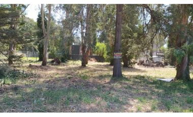 2 lotes juntos en venta Bosque Peralta Ramos
