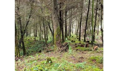 Venta de Lote en el Retiro