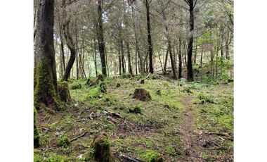 Venta de Lote en el Retiro