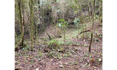 Venta de Lote en el Retiro