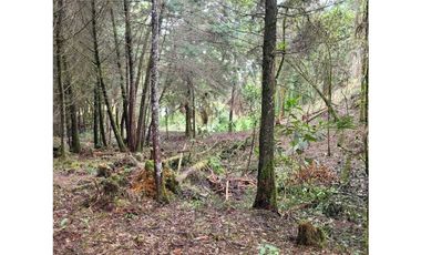 Venta de Lote en el Retiro