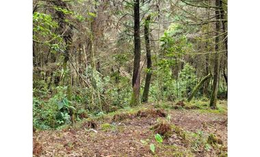 Venta de Lote en el Retiro