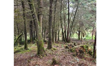 Venta de Lote en el Retiro