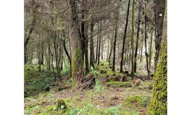 Venta de Lote en el Retiro