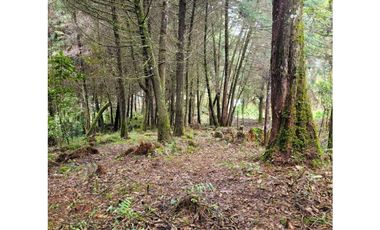 Venta de Lote en el Retiro