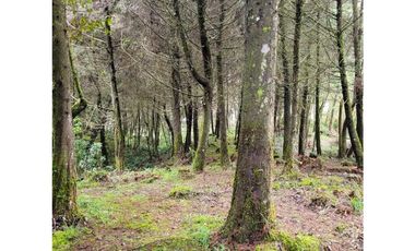 Venta de Lote en el Retiro