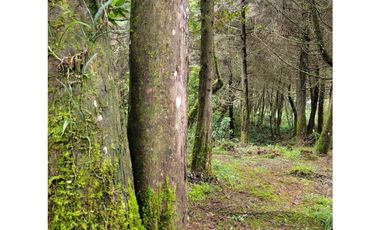 Venta de Lote en el Retiro