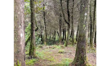 Venta de Lote en el Retiro