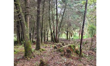 Venta de Lote en el Retiro