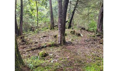 Venta de Lote en el Retiro