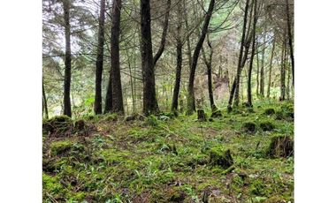 Venta de Lote en el Retiro