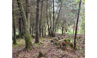 Venta de Lote en el Retiro