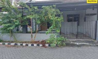 Rumah disewakan