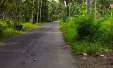 Rumah murah konsep Etnik Jawa dengan lingkungan yang asri