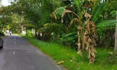 Rumah murah konsep Etnik Jawa dengan lingkungan yang asri