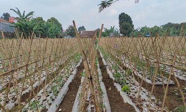 Tanah Sangat Strategis View Bagus Jambudipa Cisarua Bandung Barat