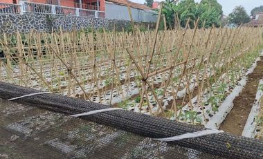 Tanah Sangat Strategis View Bagus Jambudipa Cisarua Bandung Barat