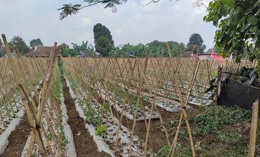 Tanah Sangat Strategis View Bagus Jambudipa Cisarua Bandung Barat