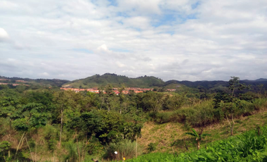 Venta Terreno de 71 Hectáreas en Corredor de los Pobres, Panama Norte