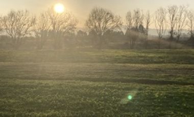 Encuentra tu rincón cerca de Talca en San Rafael VII Región