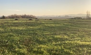 Encuentra tu rincón cerca de Talca en San Rafael VII Región
