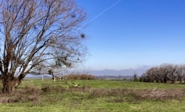 Encuentra tu rincón cerca de Talca en San Rafael VII Región