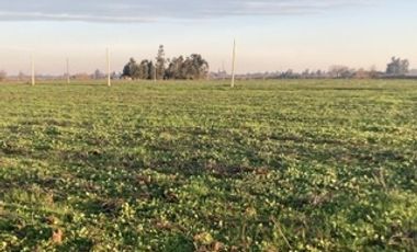 Encuentra tu rincón cerca de Talca en San Rafael VII Región