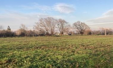 Encuentra tu rincón cerca de Talca en San Rafael VII Región