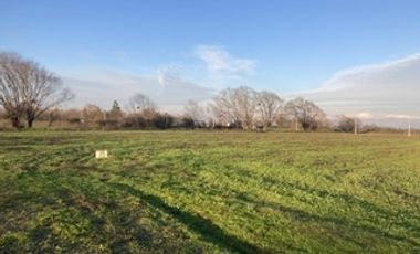 Encuentra tu rincón cerca de Talca en San Rafael VII Región