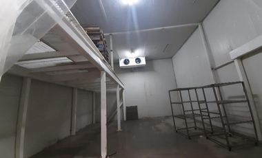 bodega en venta en palmaceca. Cod V102070