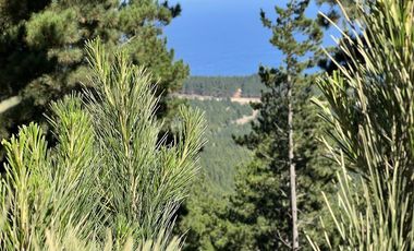 Sitio en Venta en Loteo Boyeruca, Terreno comuna Vichuquen
