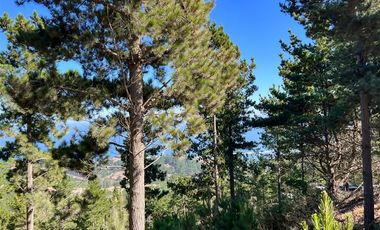 Sitio en Venta en Loteo Boyeruca, Terreno comuna Vichuquen