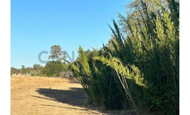 Parcela con hermosa pradera country Villarrica