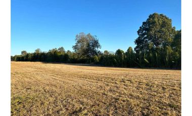 Parcela con hermosa pradera country Villarrica