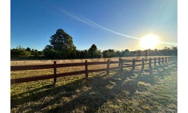 Parcela con hermosa pradera country Villarrica