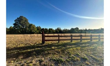 Parcela con hermosa pradera country Villarrica
