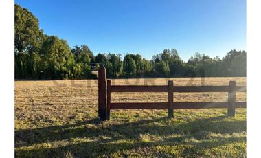 Parcela con hermosa pradera country Villarrica