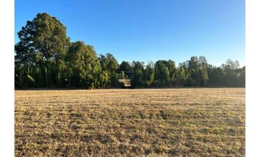 Parcela con hermosa pradera country Villarrica